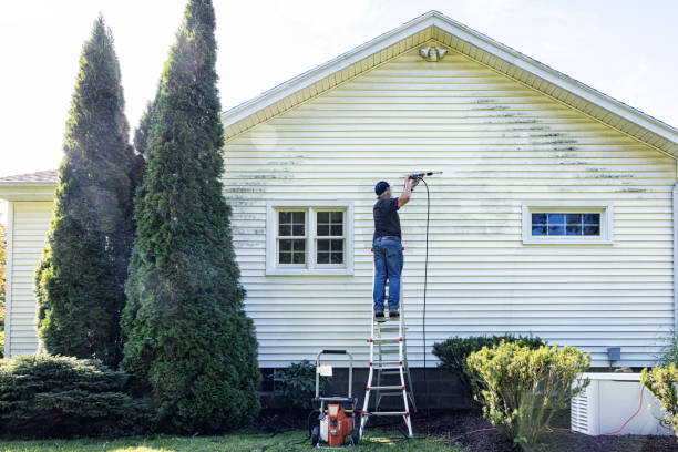 Best Fence Cleaning and Maintenance in Jeffersontown, KY